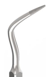 ZEG Spitze P4D für EMS-Scaler – diamantierte Spitze